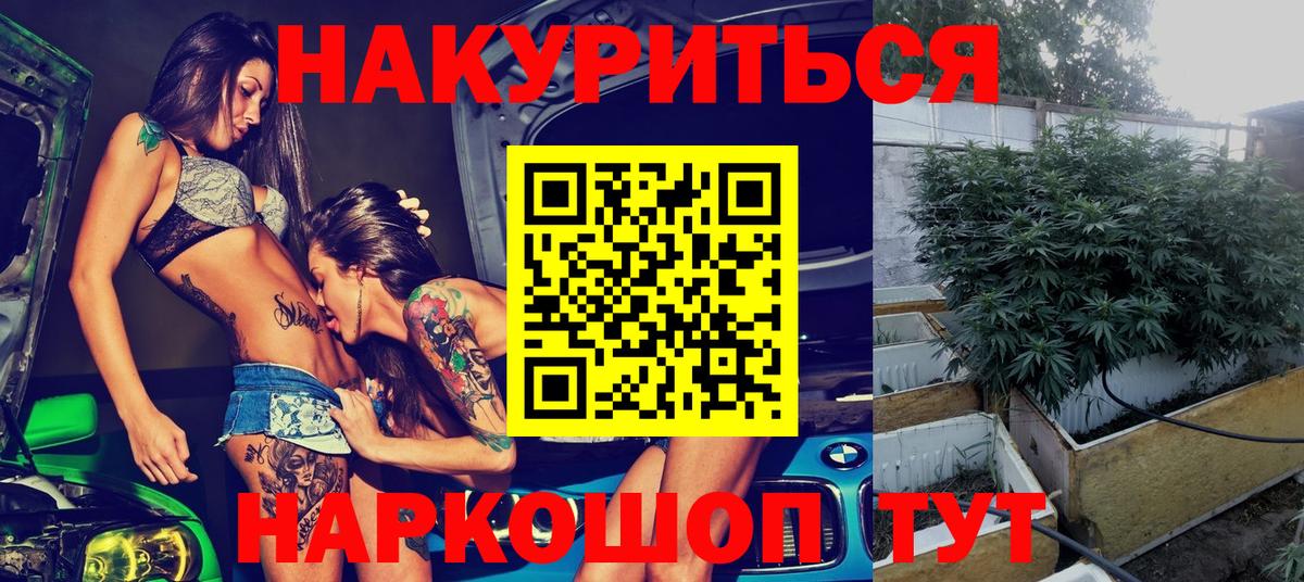 Канабис семена Ставрополь